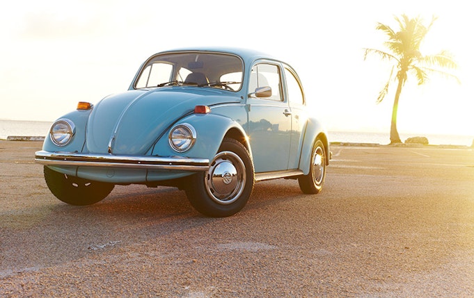 A light blue classic Volkswagen Beetle is parked with palm trees in the background.